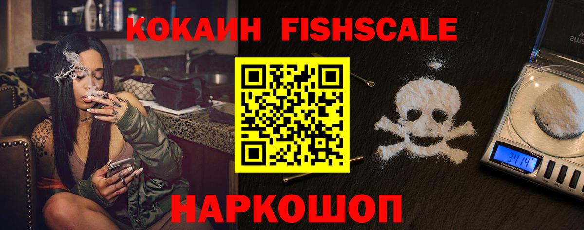 Cocaine  Кокаин Fish Scale  Вход с VPN  Заводоуковск  Кокаин VHQ 
