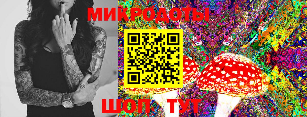 Псилоцибиновые грибы мицелий Заводоуковск
