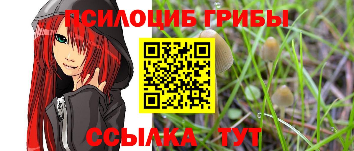 Псилоцибиновые грибы ЛСД  Вход с VPN  Галлюциногенные грибы Psilocybe  Заводоуковск 